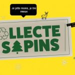 [BENNE À SAPINS – Campagne 2025]
