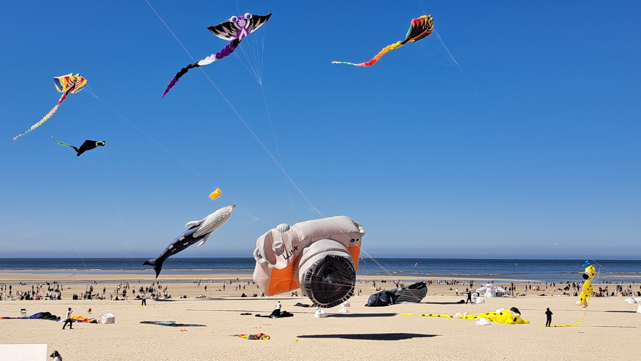 [Sortie à Berck-sur-Mer]